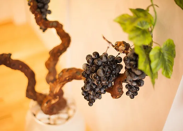 Vineyard Of Szybenik