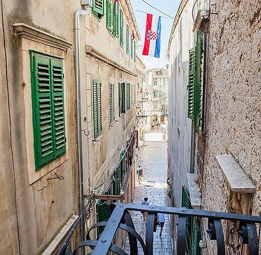 Vineyard Of * שיבניק